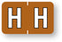 Medical Labels - Alpha File Folder Label - Barkley ABKM Compatible Series, 1-1/2" x 1"