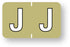 Medical Labels - Alpha File Folder Label - Barkley ABKM Compatible Series, 1-1/2" x 1"