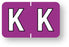 Medical Labels - Alpha File Folder Label - Barkley ABKM Compatible Series, 1-1/2" x 1"