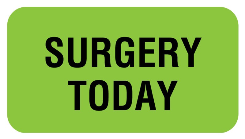 Medical Labels - SURGERY TODAY, Communication Label, 1-5/8" x 7/8"