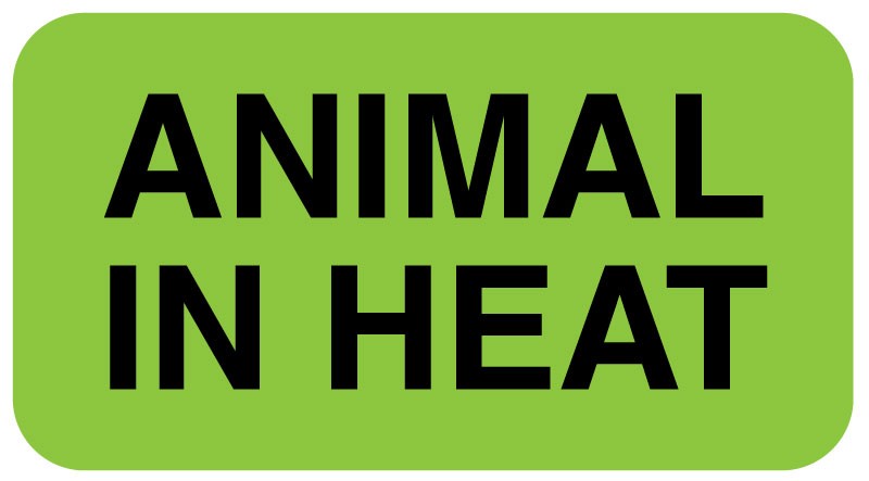 Medical Labels - ANIMAL IN HEAT, 1-5/8" x 7/8"