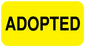 Medical Labels - ADOPTED, 1-5/8" x 7/8"