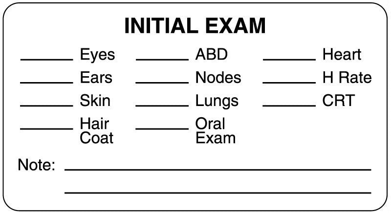 Medical Labels - Examination Record Label, 3" x 1-5/8"