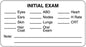 Medical Labels - Examination Record Label, 3" x 1-5/8"