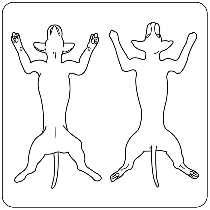 Medical Labels - Canine Exam Record Label, 2-1/4" x 2-1/4"