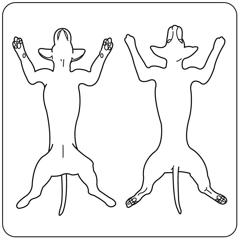 Medical Labels - Canine Exam Record Label, 2-1/4" x 2-1/4"