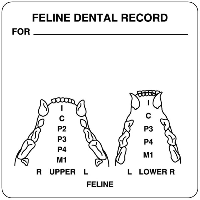 Medical Labels - Feline Examination Record Label, 2-1/2" x 2-1/2"