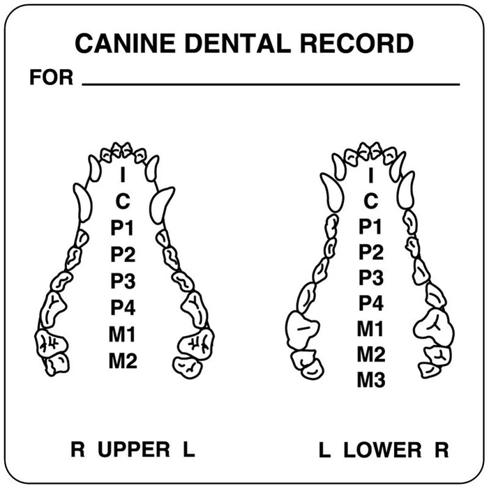 Medical Labels - Examination Record Label, 2-1/2" x 2-1/2"