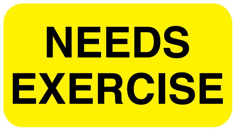 Medical Labels - NEEDS EXERCISE, 1-5/8" x 7/8"