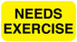 Medical Labels - NEEDS EXERCISE, 1-5/8" x 7/8"