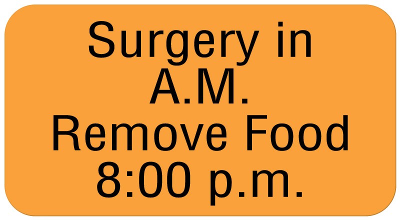 Medical Labels - SURGERY IN A.M. REMOVE FOOD 8:, Communication Label, 1-5/8" x 7/8"