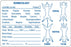 Medical Labels - Examination Record Label, 4" x 2-5/8"