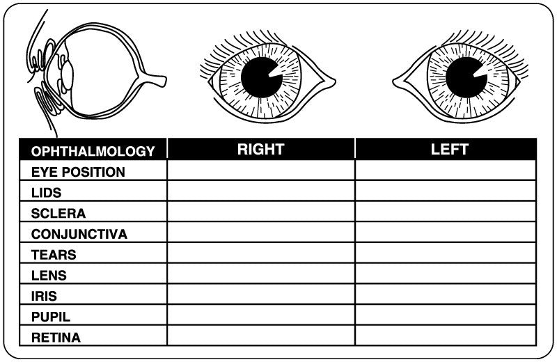 Medical Labels - Examination Record Label, 4" x 2-5/8"