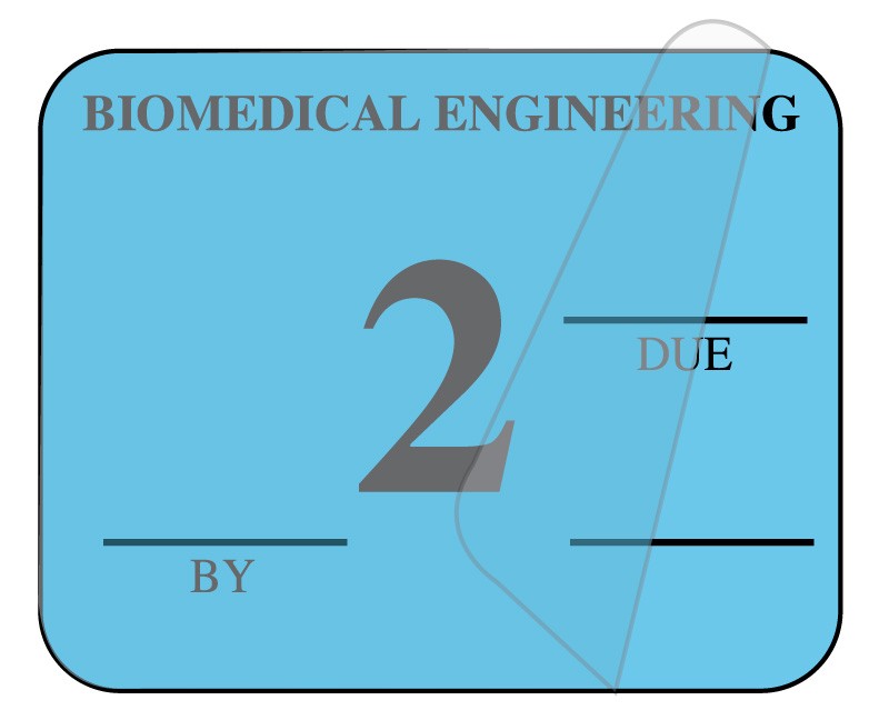Medical Labels - Biomedical Engineering Inspection Label, 1-1/4" x 1"