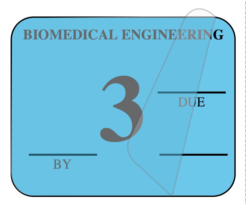 Medical Labels - Biomedical Engineering Inspection Label, 1-1/4" x 1"
