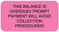 Medical Labels - Payment Reminder Label, 1-5/8" x 7/8"