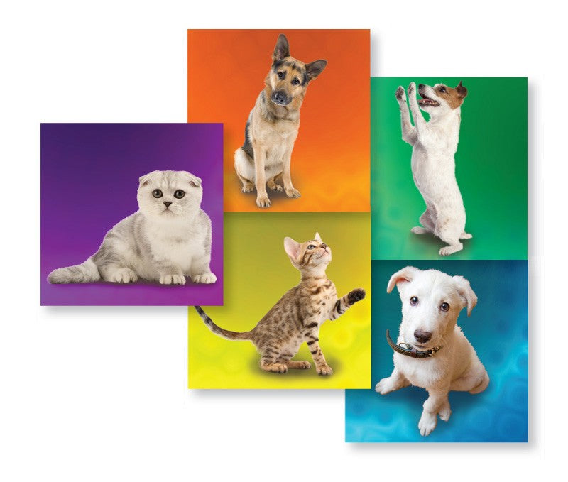 Medical Labels - Dogs & Cats Kids' Sticker, 2-1/2" x 2-1/2"