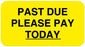 Medical Labels - Past Due Label, 1-5/8" x 7/8"