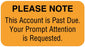 Medical Labels - Past Due Label, 1-5/8" x 7/8"