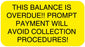 Medical Labels - Past Due Label, 1-5/8" x 7/8"