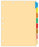 Medical Labels - Chart Dividers