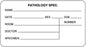 Medical Labels - Pathology Labels, 3" x 1-5/8"