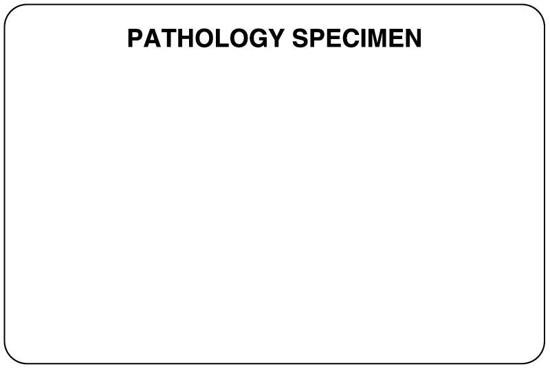 Medical Labels - Pathology Labels, 3" x 2"