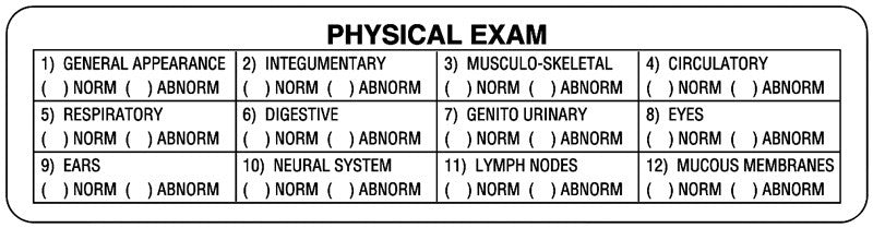 Medical Labels - Physical Exam Label, 4" x 1"