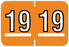Medical Labels - Colwell Compatible 2019 Year Label, 1-1/2" x 1"