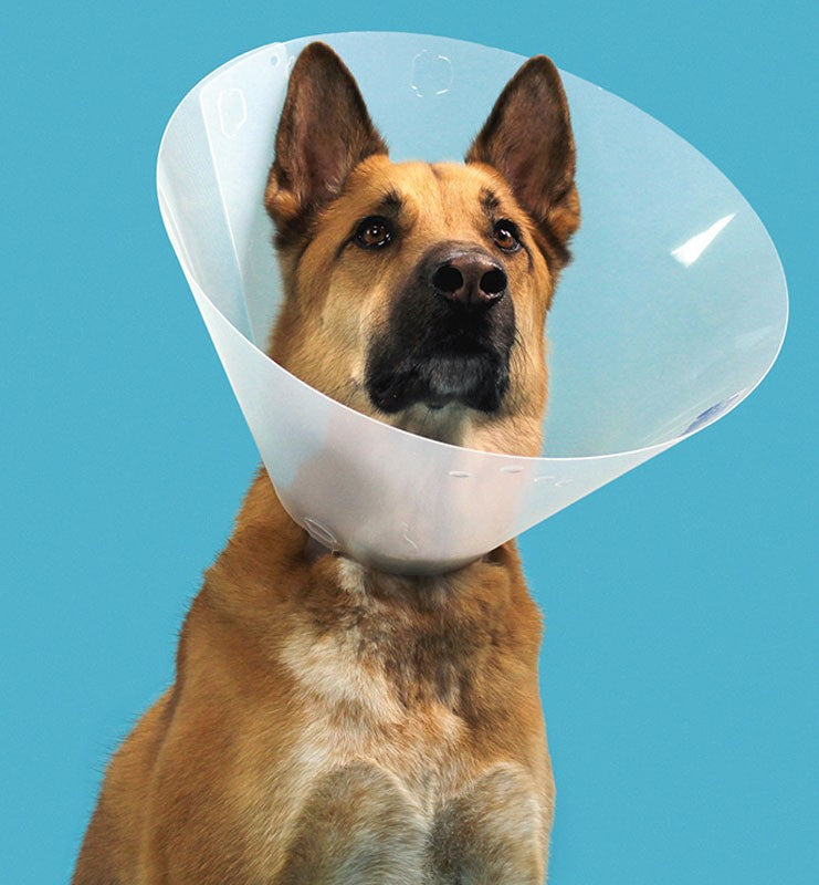 Medical Labels - QUICKFIT Collar 13-1/4"-16-1/4"