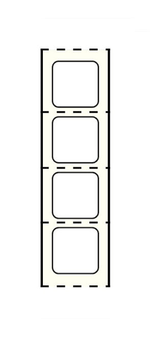 Medical Labels - Stainershield Direct Thermal Printer Label , 3" Core, 7/8" x 7/8"