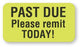 United Ad Label Pre-Printed Label Instructional Label Past Due Please Remit Today Fluorescent Green 7/8 X 3 Inch - ULHC511