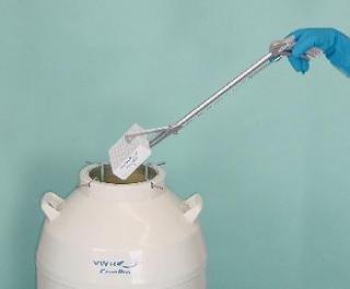 Liquid Nitrogent Level Measuring Stick