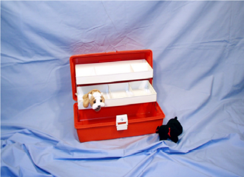 Healthmark Emergency Med Boxes And Cases - Med Case, 16.5" x 8.75" x 7.5" in- HMK-1611-2
