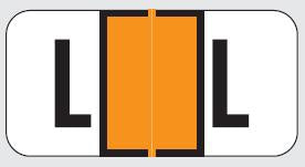 Wilmer Jetter W-2120 Series Pre-Printed Label Chart Tab L | L Orange 1-1/2 X 3/4 Inch - W-2120-L