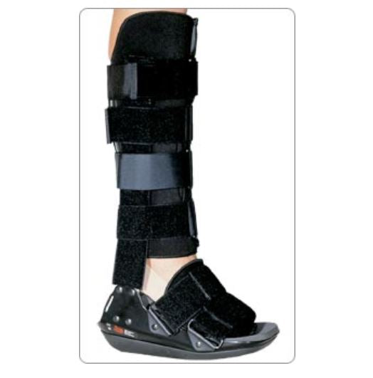 Ankle, Foot and Toe