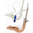 Laryngeal Mask Kit
