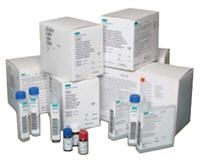 Siemens - Fuse 6.3 Amp, 250 V For Dimension Analyzer - 10457736