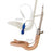 LMA Fastrach - Laryngeal Mask Kit Adult User Size 5 NonSterile Reusable - 13150