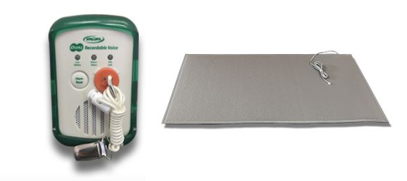 Dual Recordable Voice Monitor