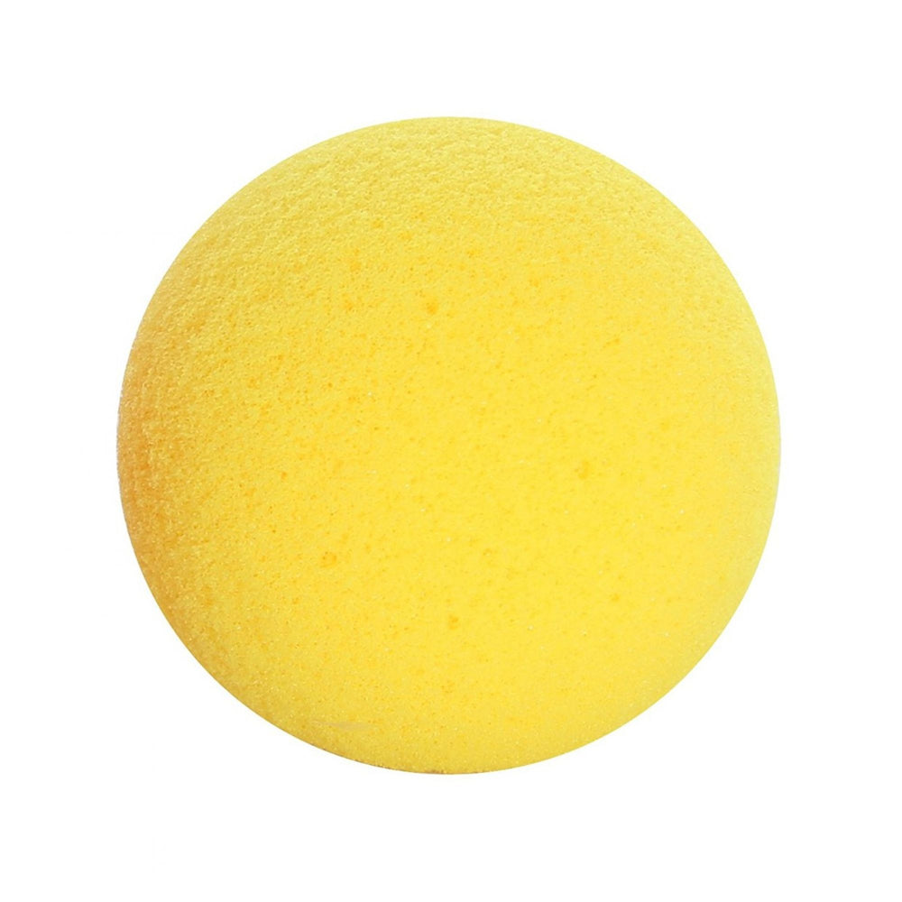 Exercise Ball