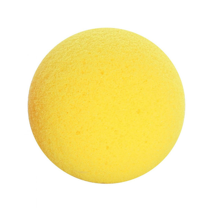 Exercise Ball