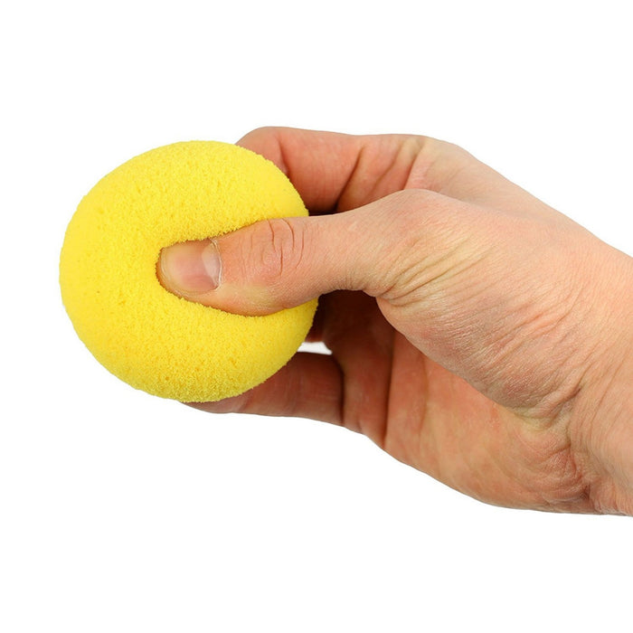 Exercise Ball