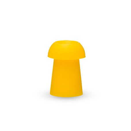 Eartip
