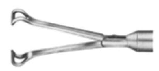  Babcock Forceps