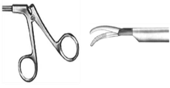 Standard Handle - Maryland Forceps