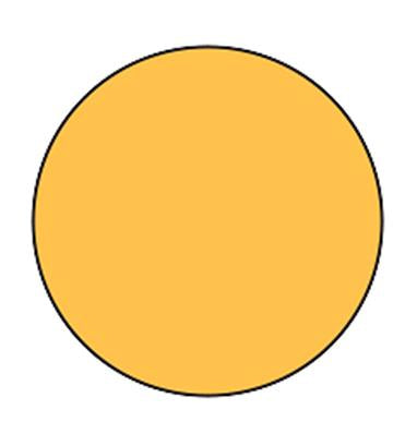 MedValue Blank Circle Labels, High Visibility Orange