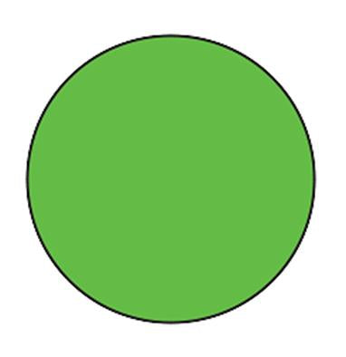 MedValue Blank Circle Labels, High Visibility Green
