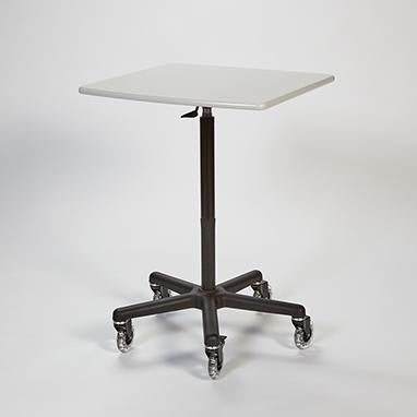 MedValue Economy PalWOW - Workstation on Wheels