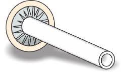 Male External Catheter